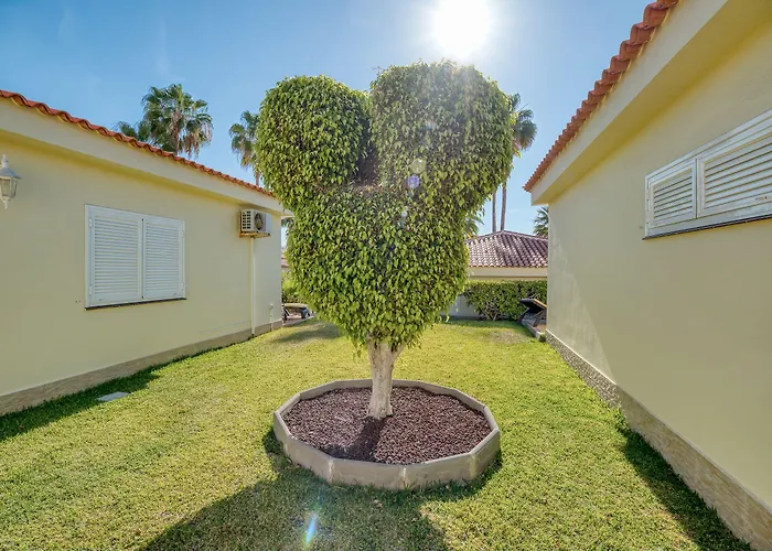 Ona Sueno Azul Callao Salvaje