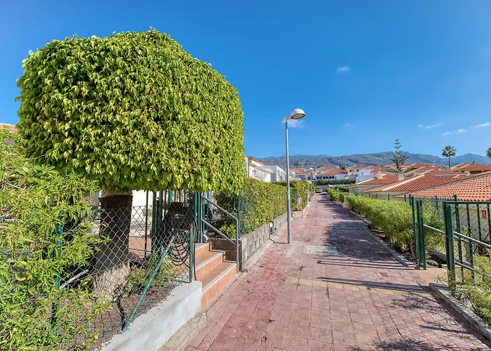 Ona Sueno Azul Callao Salvaje